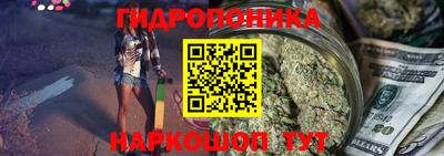 стаф Отрадный
