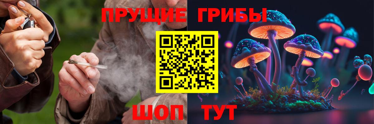 Знаменск  Галлюциногенные грибы ЛСД  Вход с VPN 